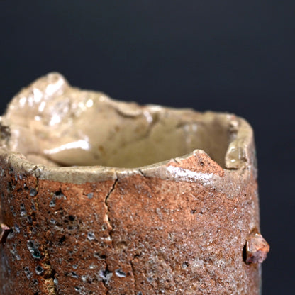 Wild Large Raw Clay Vase ー鈴木 青々 "彩砂磁 花瓶"