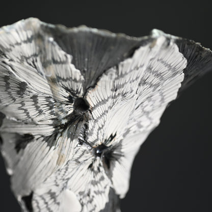 Contemporary Shingu Sayaka Vase ー新宮 さやか "萼容花入"
