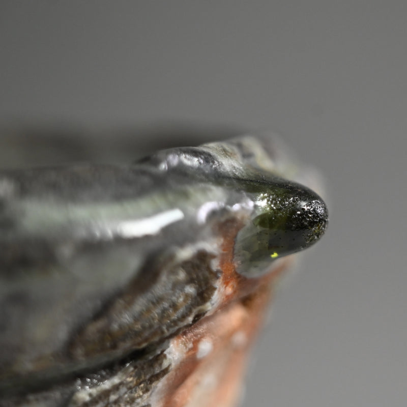 Classical Iga Vase ー新 歓嗣 "伊賀耳付花入"