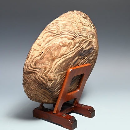 Ancient Lacquered Wooden Bowl w/ box by Tomioka Tessai ー富岡 鉄斎 "神代杉菓子器"