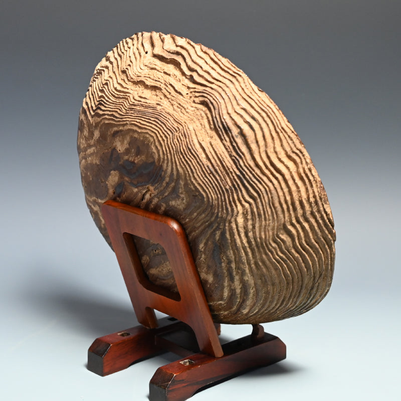 Ancient Lacquered Wooden Bowl w/ box by Tomioka Tessai ー富岡 鉄斎 "神代杉菓子器"