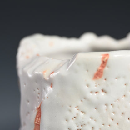 Exhibited Shino Vase ー室山 治郎 “志野花生”