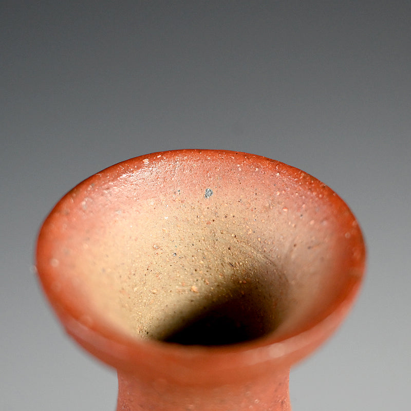 Exhibited Bizen Vase ー柴岡 紘一 “緋檸 襷尻張 徳利”