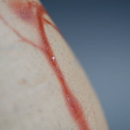Exhibited Bizen Vase ー柴岡 紘一 “緋檸 襷尻張 徳利”