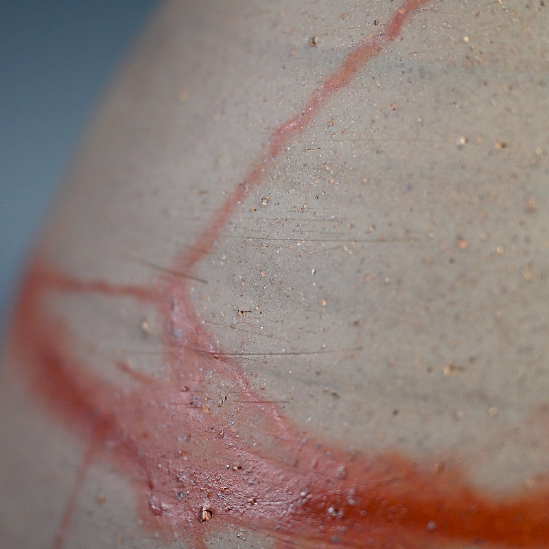 Exhibited Bizen Vase ー柴岡 紘一 “緋檸 襷尻張 徳利”