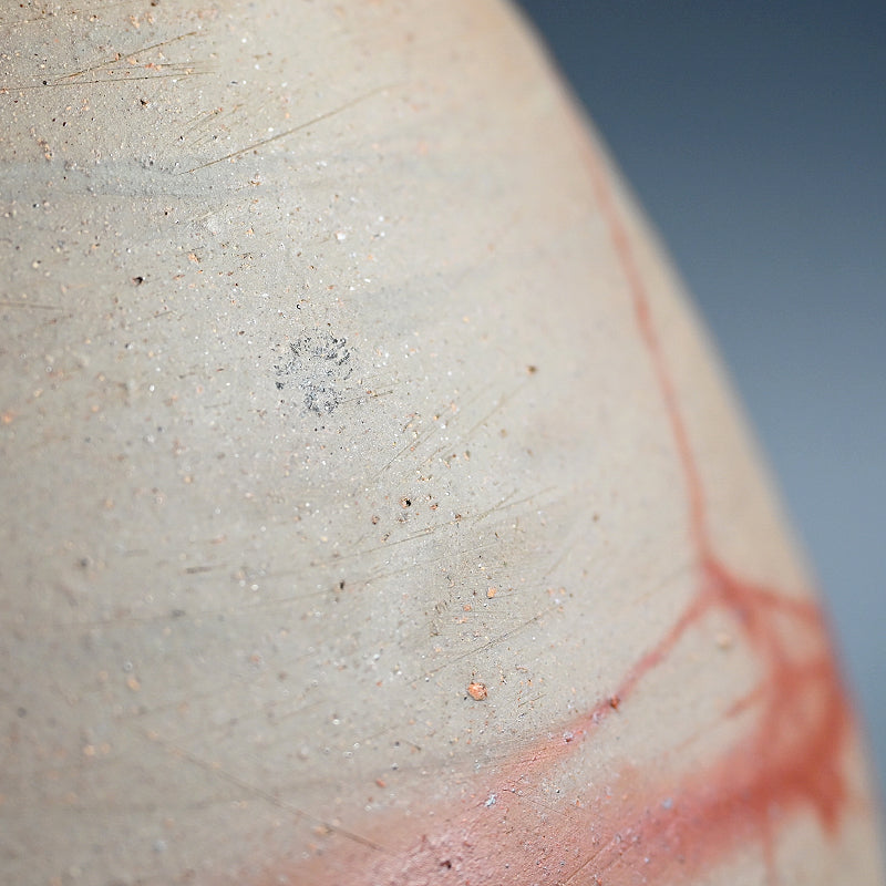 Exhibited Bizen Vase ー柴岡 紘一 “緋檸 襷尻張 徳利”