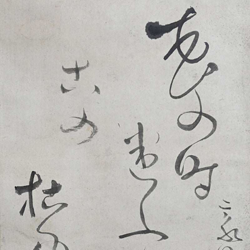 18th-19th c. Nozarashi Skull by Priest ー豪潮 寛海