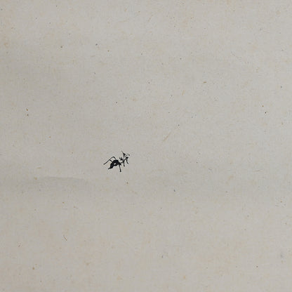 Meiji p. Zen Skull Painting ー尾竹 竹坡