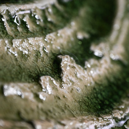 Radiacal Ash Glazed Swirling Iga Plate ー谷本 洋 "伊賀 皿"