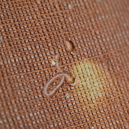 Radiacal Ash Glazed Swirling Iga Plate ー谷本 洋 "伊賀 皿"