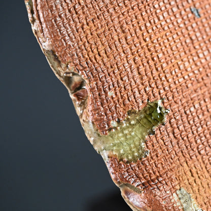 Radiacal Ash Glazed Swirling Iga Plate ー谷本 洋 "伊賀 皿"