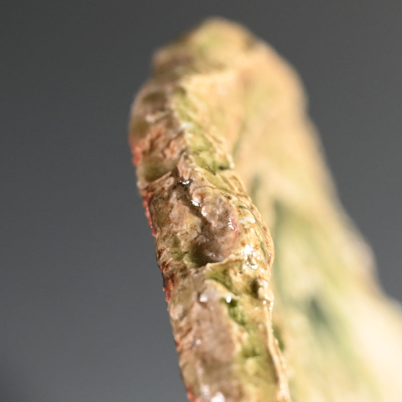 Radiacal Ash Glazed Swirling Iga Plate ー谷本 洋 "伊賀 皿"