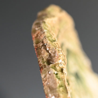 Radiacal Ash Glazed Swirling Iga Plate ー谷本 洋 "伊賀 皿"