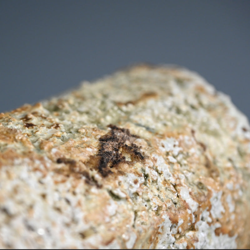 信楽直樓 陶箱 ー古谷 道生