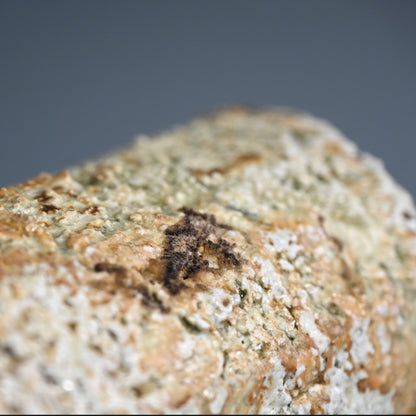 信楽直樓 陶箱 ー古谷 道生