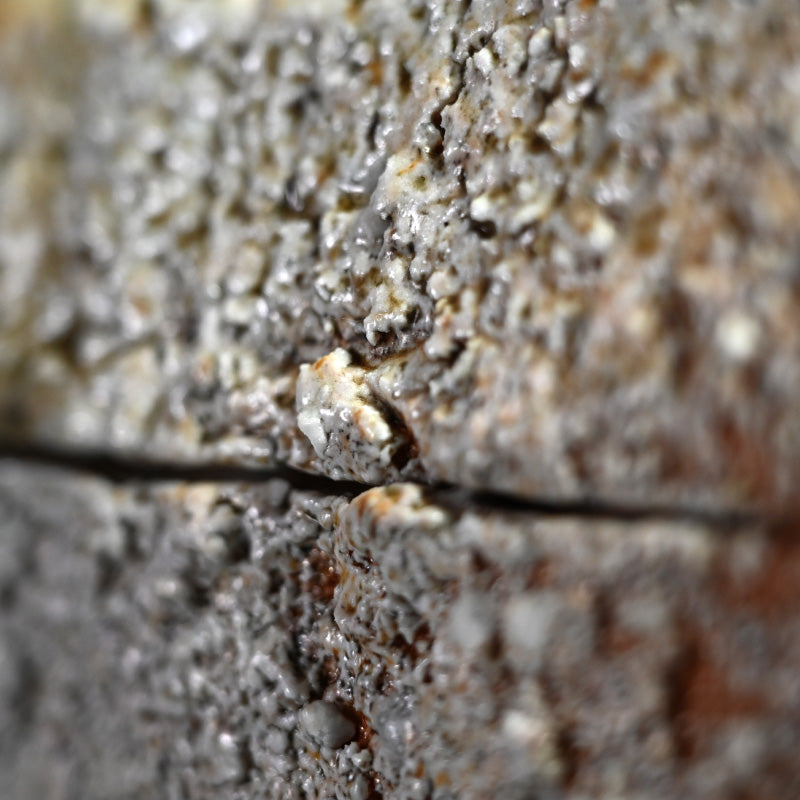 信楽直樓 陶箱 ー古谷 道生