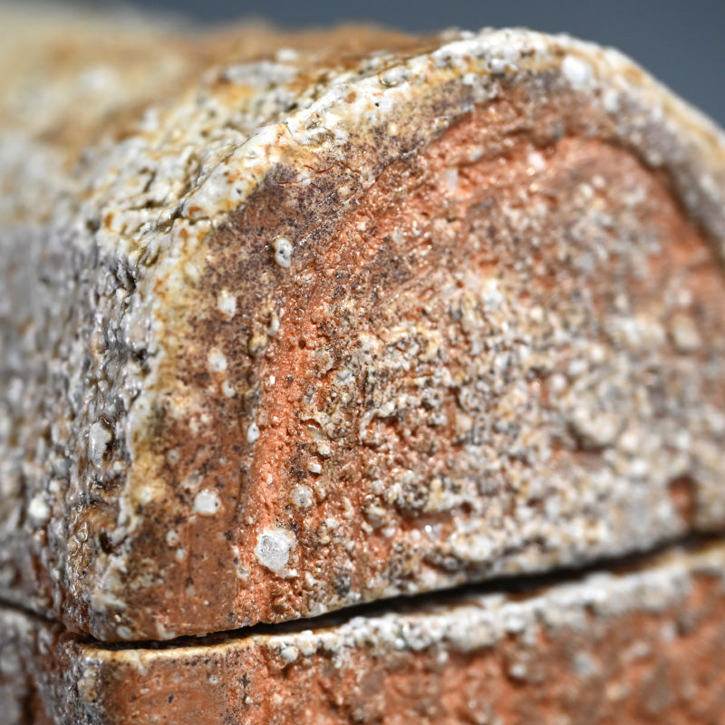 信楽直樓 陶箱 ー古谷 道生