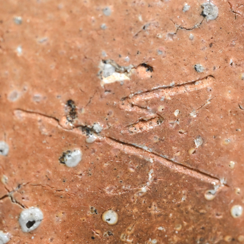 信楽直樓 陶箱 ー古谷 道生