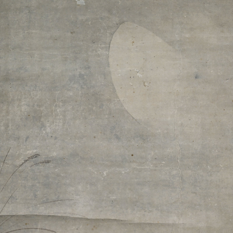 Wolf under Moonlight ー渡辺 華山