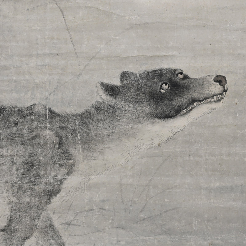 Wolf under Moonlight ー渡辺 華山