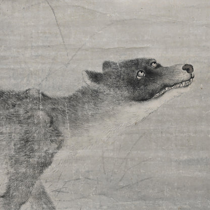 Wolf under Moonlight ー渡辺 華山