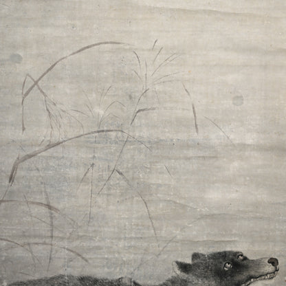 Wolf under Moonlight ー渡辺 華山