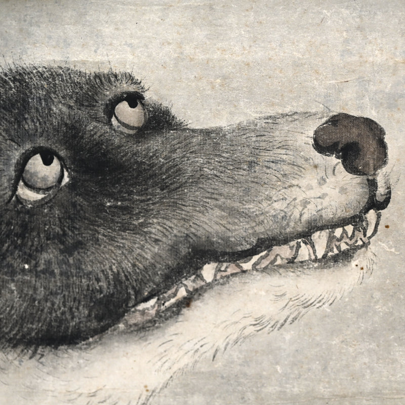 Wolf under Moonlight ー渡辺 華山