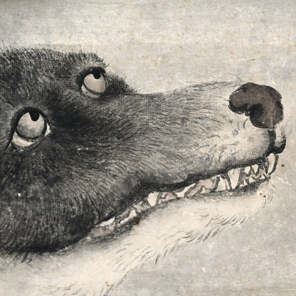 Wolf under Moonlight ー渡辺 華山