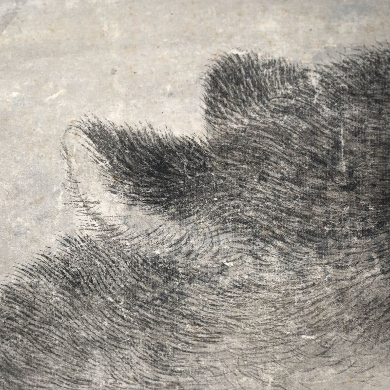 Wolf under Moonlight ー渡辺 華山
