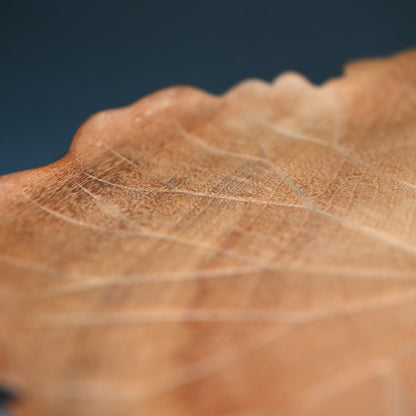 Incredible Antique Japanese Habon Carved Leaf Tray  ー蓮葉形　菓司盆