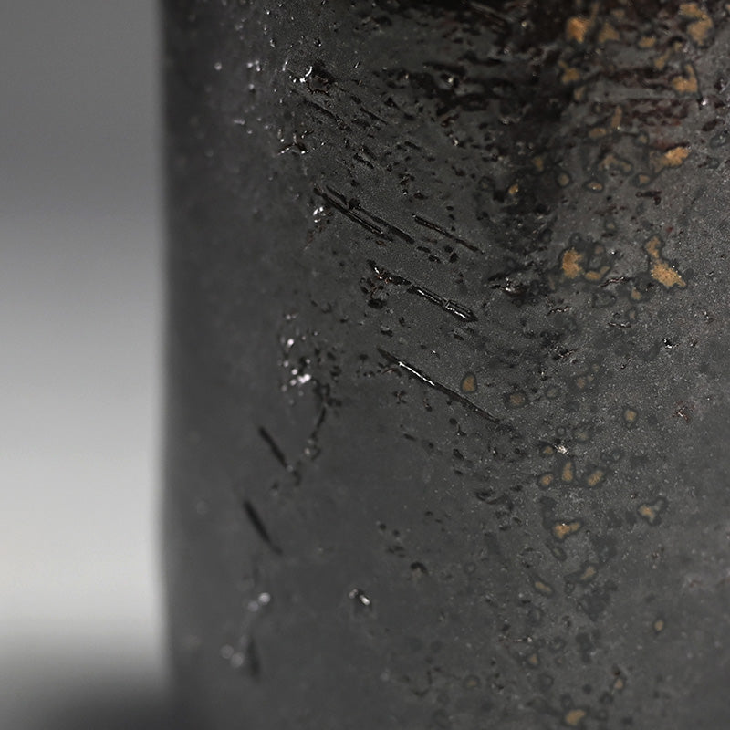 Black Bizen Tokkuri Sake Flask ー伊勢崎 晃一朗 "黒徳利"
