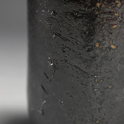 Black Bizen Tokkuri Sake Flask ー伊勢崎 晃一朗 "黒徳利"