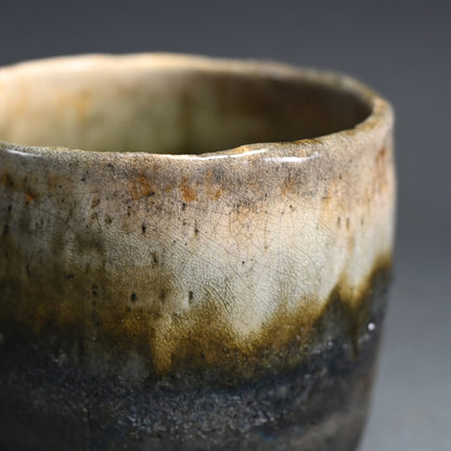 White and Black Chawan Tea Bowl ー“白黒茶碗 不二山”