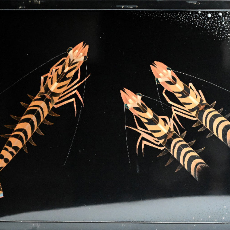 Tiger Shrimp Lacquer Screen ー尾長 保