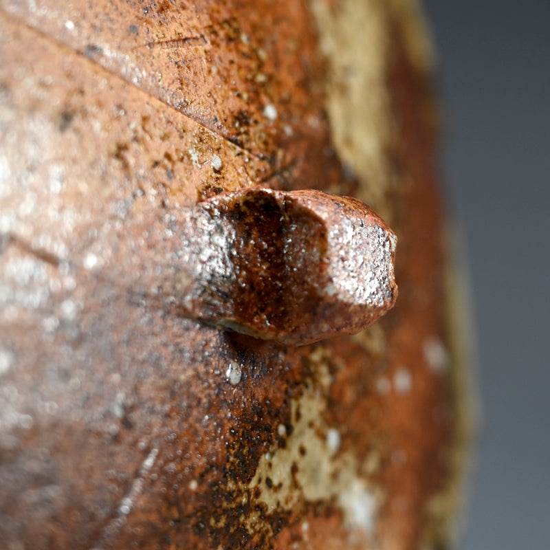 Slab Plate in Molten Ash by Iga Master ー新 学 "伊賀 長方皿"