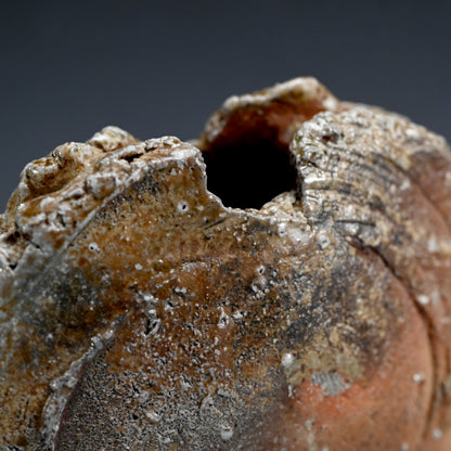 Iga Vase ー新 学 "伊賀 花器"