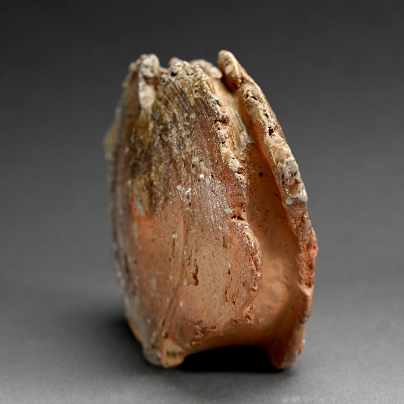 Iga Vase ー新 学 "伊賀 花器"