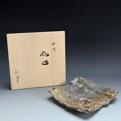 Spectacular Iga Shinogi Dish ー新 学 "伊賀 鎬皿"