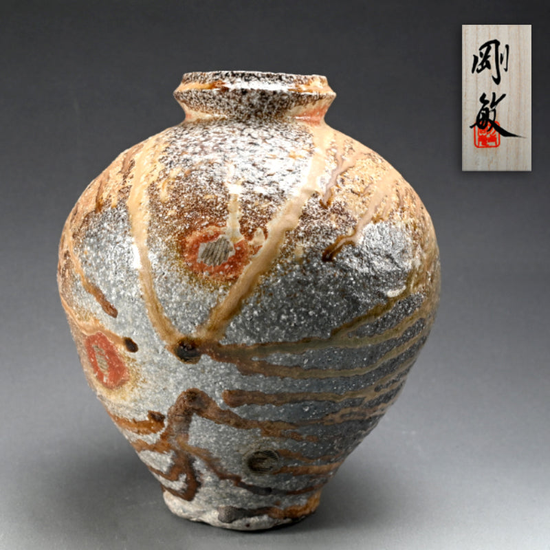 Fabulous Contemporary Anagama Tsubo ー古谷 剛敏 "信楽自然釉壺"