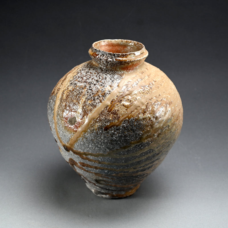 Fabulous Contemporary Anagama Tsubo ー古谷 剛敏 "信楽自然釉壺"