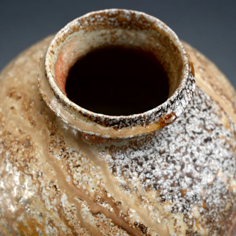 Fabulous Contemporary Anagama Tsubo ー古谷 剛敏 "信楽自然釉壺"