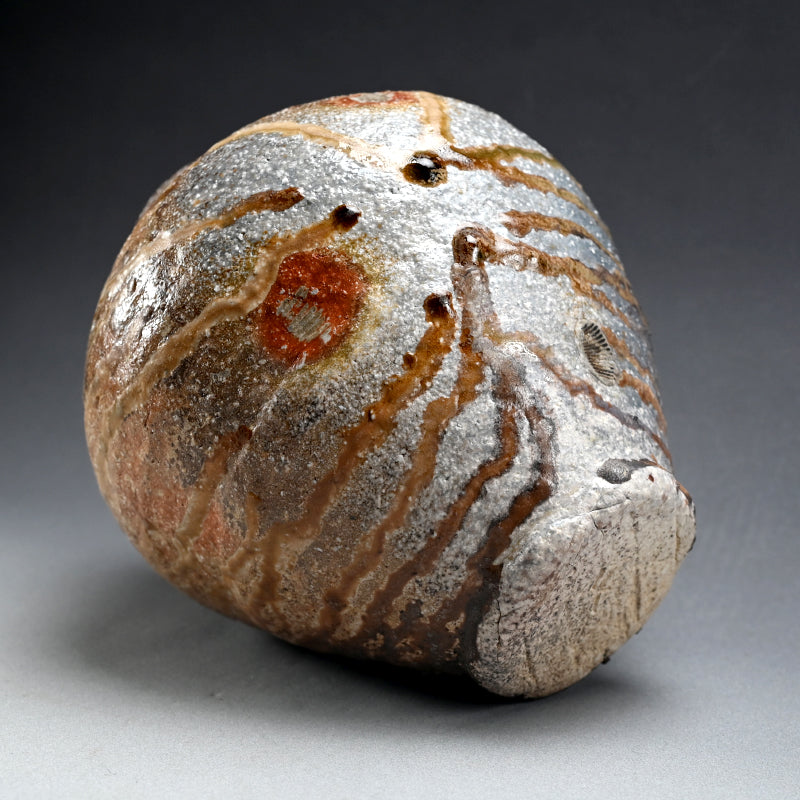 Fabulous Contemporary Anagama Tsubo ー古谷 剛敏 "信楽自然釉壺"