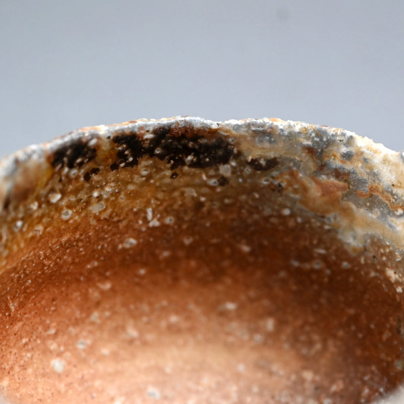 Natural Ash Glaze Shigaraki Chawan Tea Bowl ー古谷 剛敏 "信楽自然釉 茶碗"