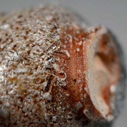 Natural Ash Glazed Shigaraki Guinomi ー古谷 剛敏 "信楽自然釉 ぐい呑み"