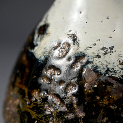 Stellar Chossen Karatsu Vase ー中川 自然坊 "挑戦唐津鶴首花入"