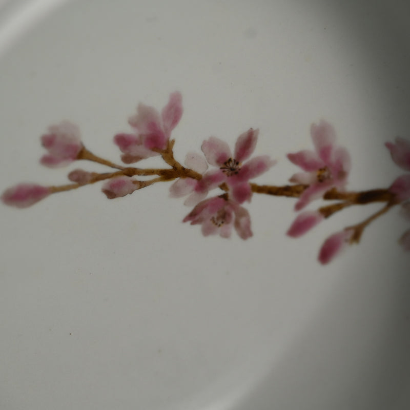 現代陶磁器 桜ー丹澤裕子「桜文陶筥」