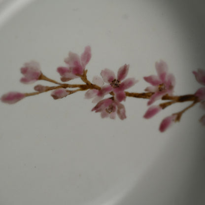 現代陶磁器 桜ー丹澤裕子「桜文陶筥」