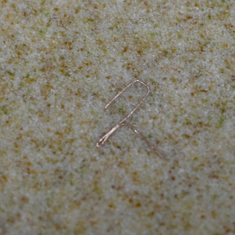 Cloisonne box (ginkgo leaves) ー石坂 久美子 “有線七宝蓋物 (いちょう)”