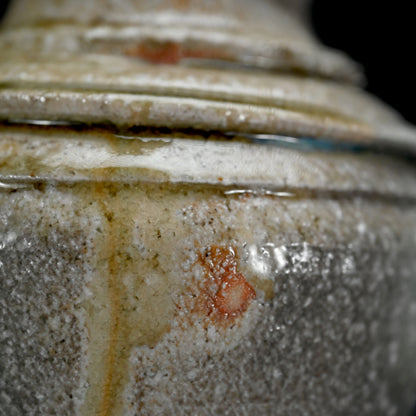 Shigaraki, Bottle Vase ー藤本 秀 “信楽花生”