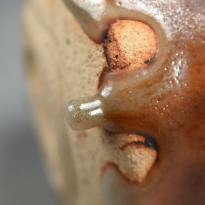 信じられないほどの現代志野茶わん ー酒井 甲夫 "鼡志野茶盌"